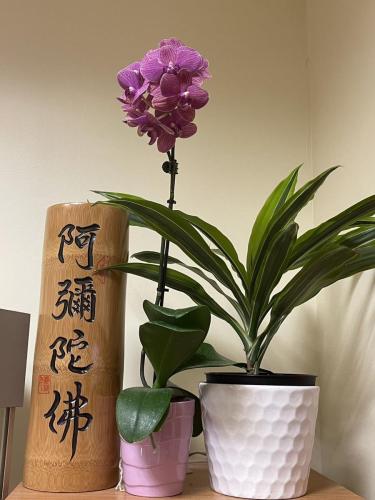 Image_20240210125837