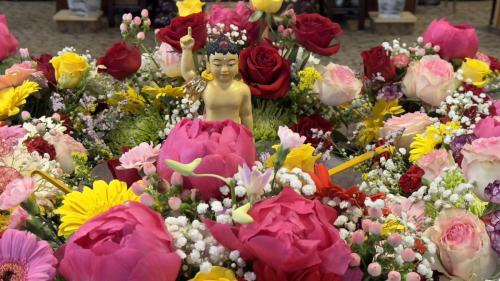 Image_20240514205816