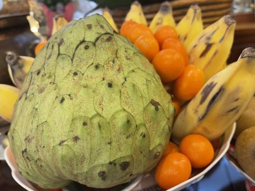 Image_20240514210627