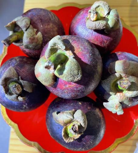 Image_20250603224858