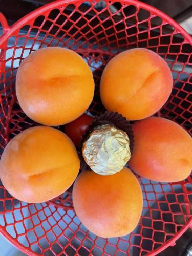 Image_20250603225238