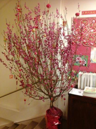 20140205 161741 12865560265 o