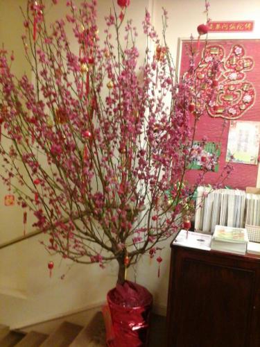 20140205 161834 12865980594 o