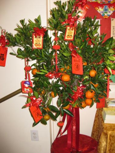 6752004013 ab7d39d0e1 o