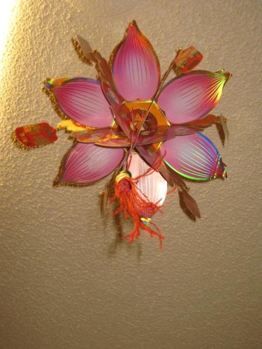 6752020503 d5e36c1a01 o