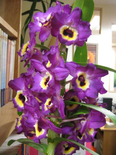 6767728015 fe8b09ae0c o