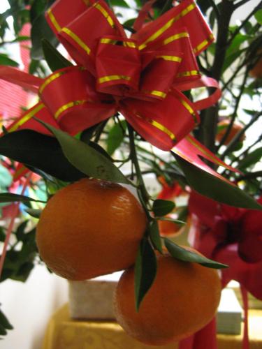 6767737471 c0fcb8882a o