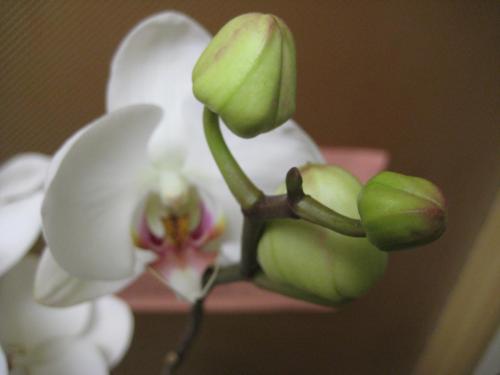 6767740061 98de991d57 o