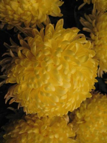 6767787777 e6e1a73c4c o