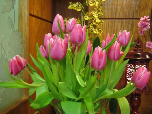 6767816187 23c6217e63 o