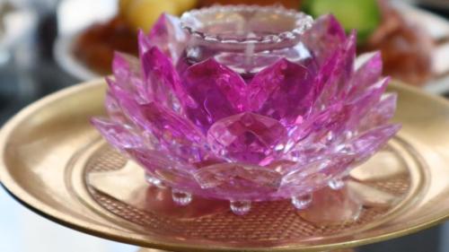 bzzn5446 48075108351 o