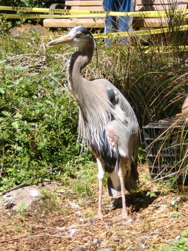 cimg2567 14927081247 o