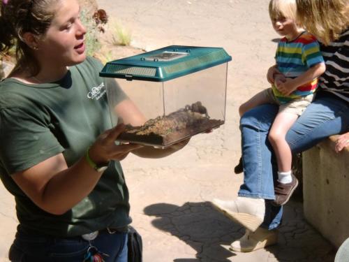 cimg2571 14927076287 o