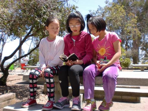 cimg2578 14926967930 o