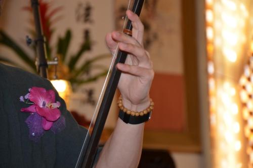 dsc 3125 31501934258 o