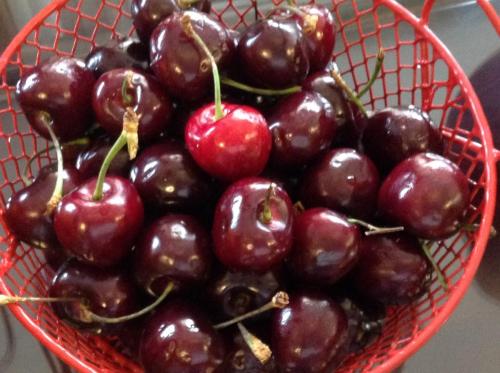 img 0113 18808648679 o