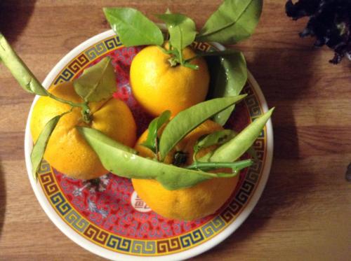 img 0182 18806944230 o