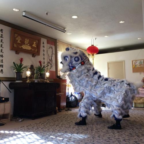 img 0305 21850988103 o