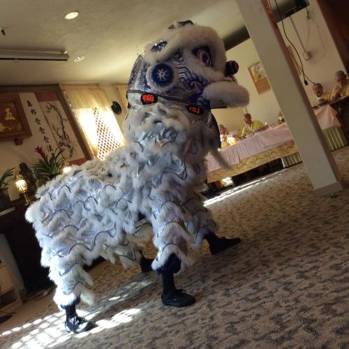 img 0331 22458806032 o