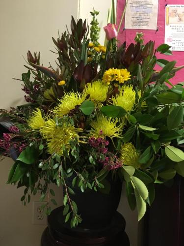 img 0337 24882344088 o