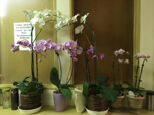 img 0340 24882341888 o