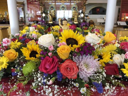 img 0368 52057388129 o