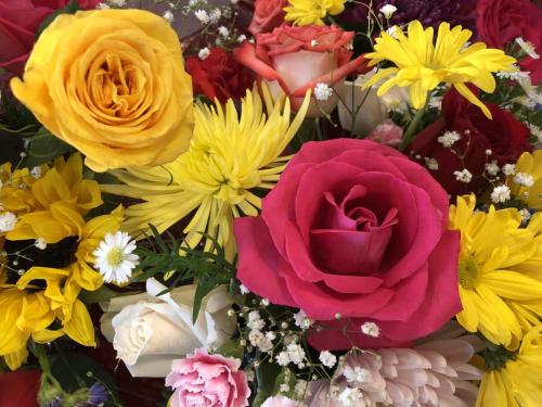 img 0374 52057149386 o