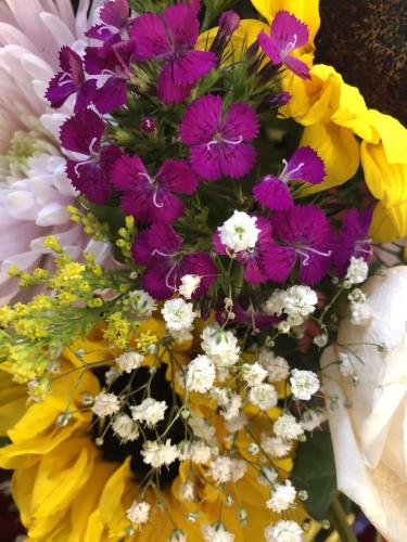 img 0375 52056103037 o