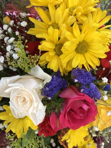 img 0376 52057385419 o