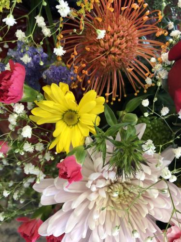 img 0377 52057393009 o