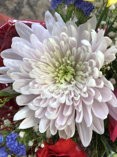 img 0378 52056108522 o