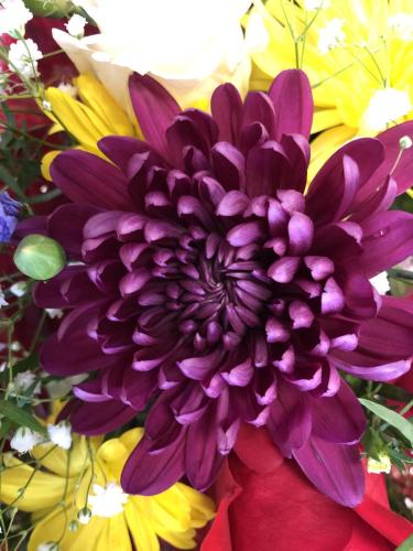 img 0379 52057392339 o