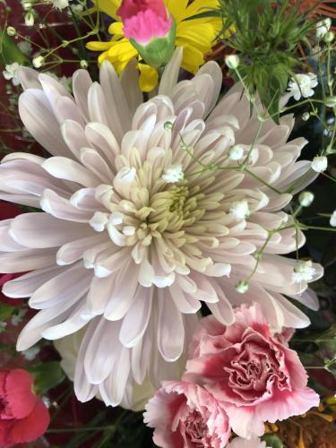 img 0380 52057185913 o