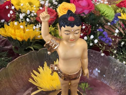 img 0382 52057391574 o