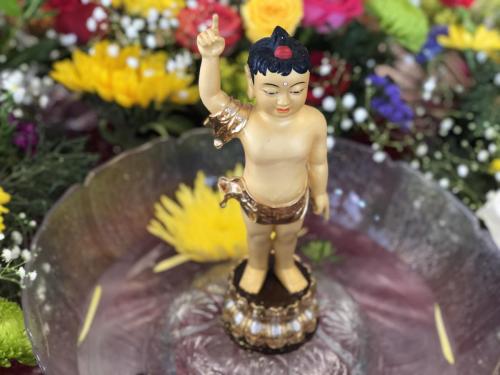 img 0383 52057636620 o