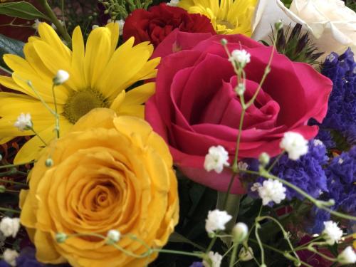 img 0384 52057153291 o