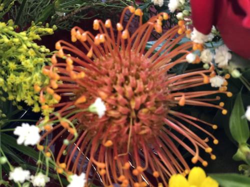 img 0385 52057390684 o