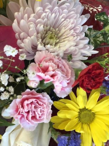 img 0386 52056106307 o