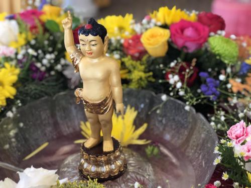 img 0387 52057148611 o