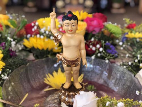 img 0388 52057148351 o