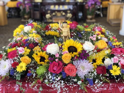 img 0389 52057179803 o