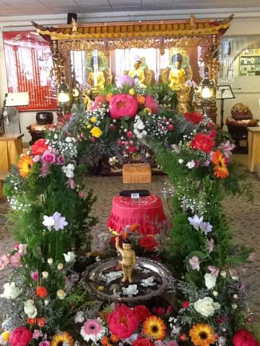 img 1195 8785926997 o