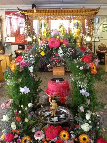 img 1196 8785927103 o