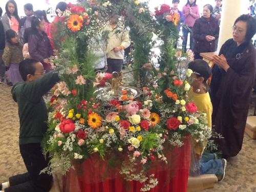 img 1241 8796479446 o