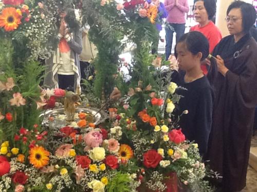 img 1249 8785896815 o