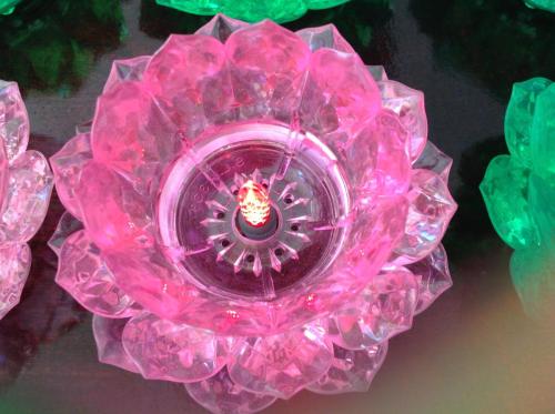 img 1293 24784930782 o