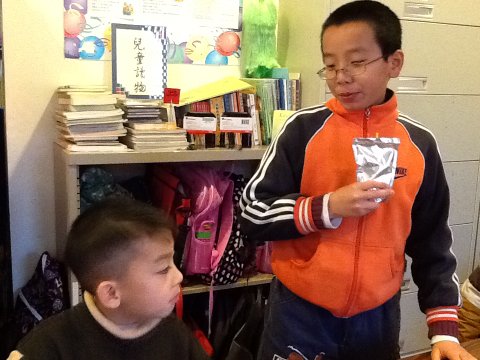 img 1750 12063680516 o