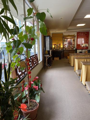 img 3816 52667696411 o