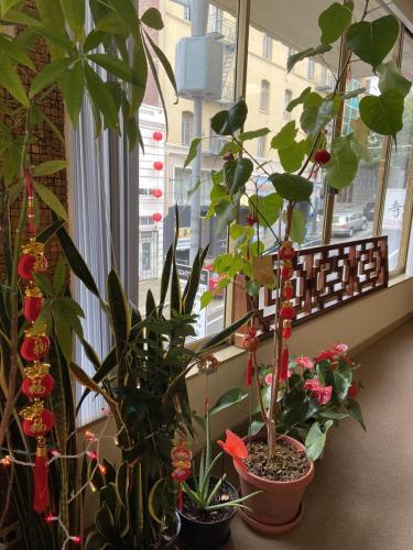 img 3817 52668199543 o