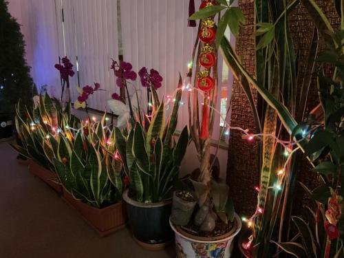 img 7581 52666417957 o